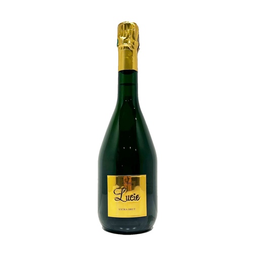 Champagne Ludovic David - Millésime - Extra-Brut - 75cl